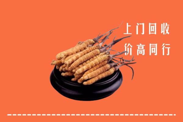 高价求购：宁德市古田县回收散虫草