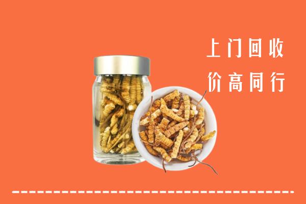 宁德市古田县回收冬虫夏草