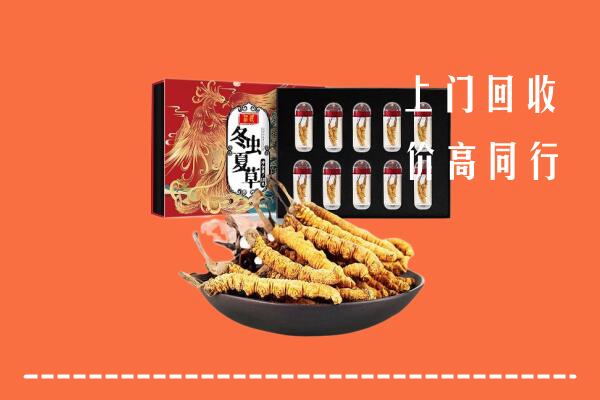 宁德市古田县回收虫草
